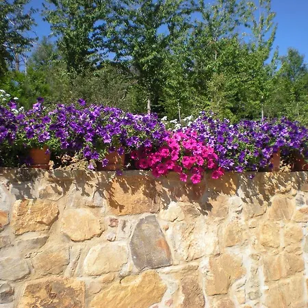 Rural Casa Ana Hotel 4*