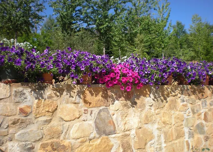 Rural Casa Ana Hotel 4*